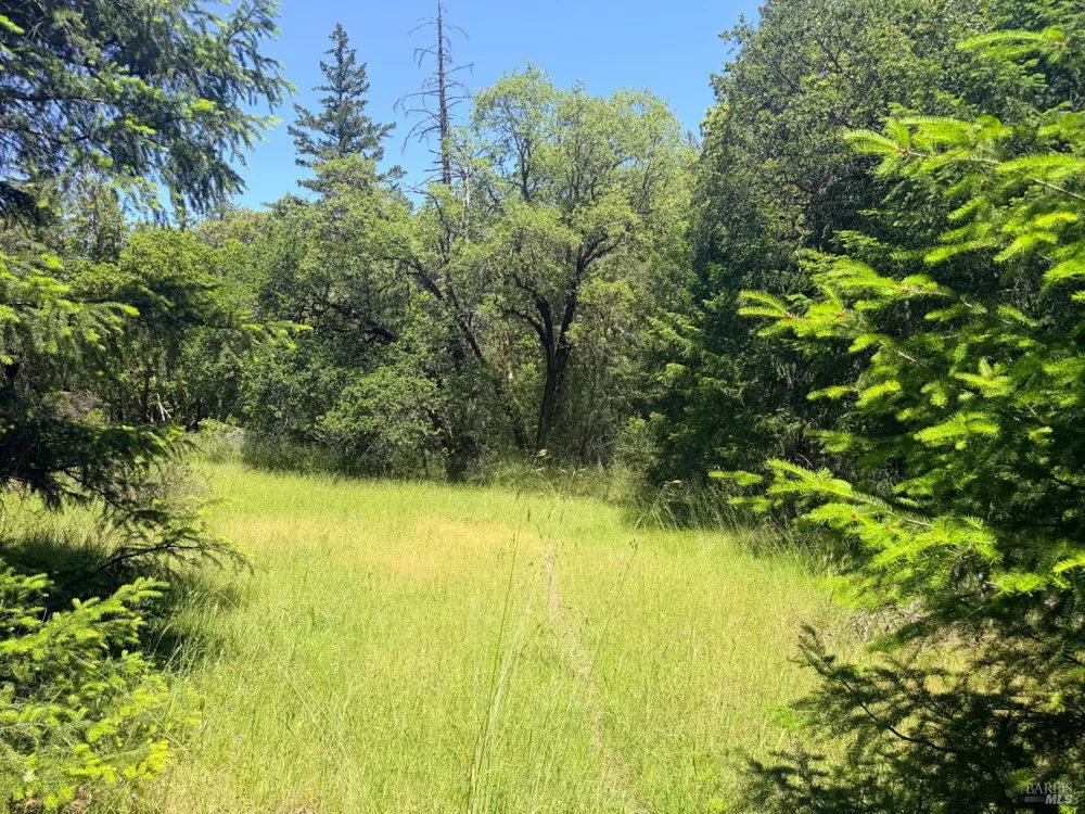 Registered Guest Road Laytonville, CA 95454
