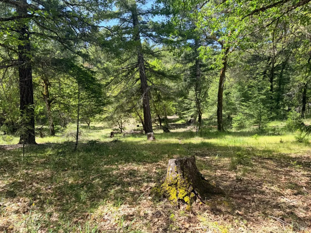 Registered Guest Road Laytonville, CA 95454