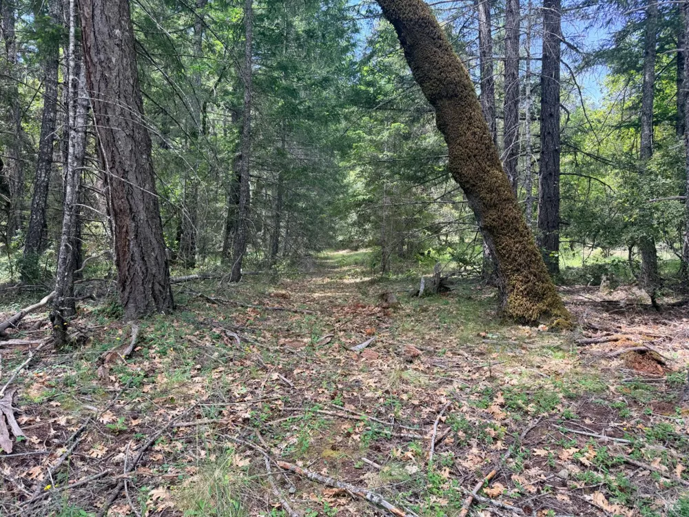Registered Guest Road Laytonville, CA 95454