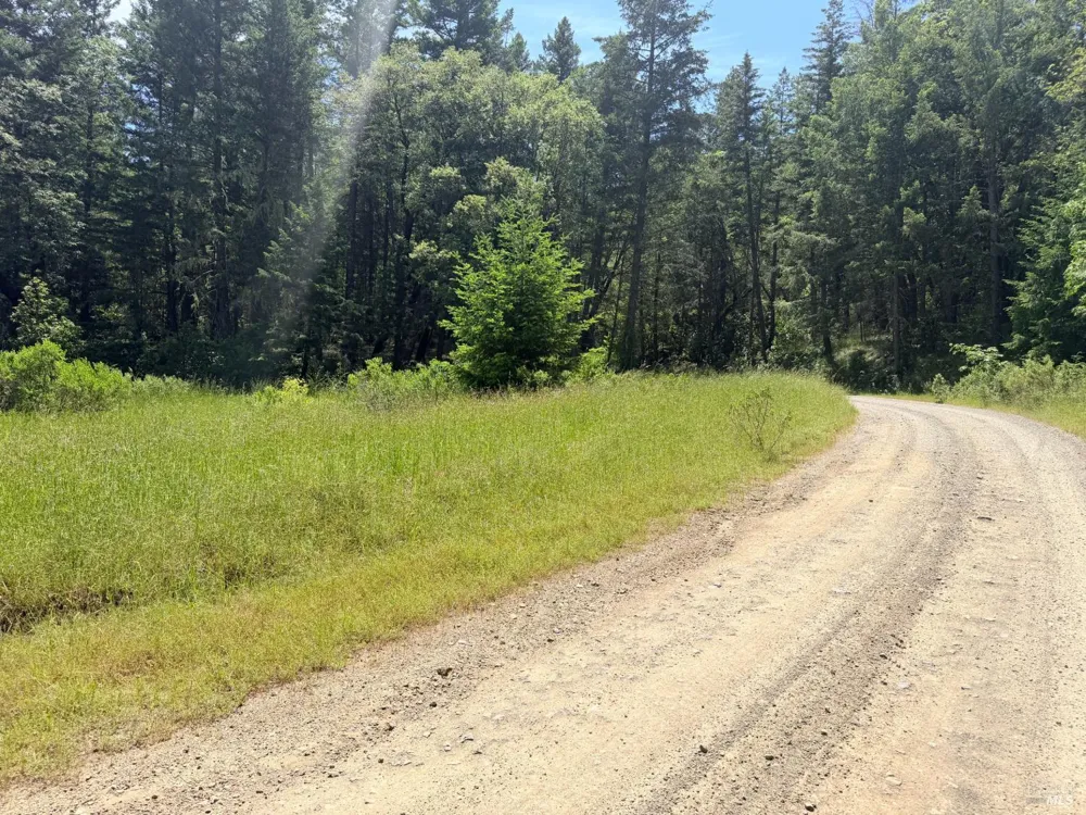 Registered Guest Road Laytonville, CA 95454