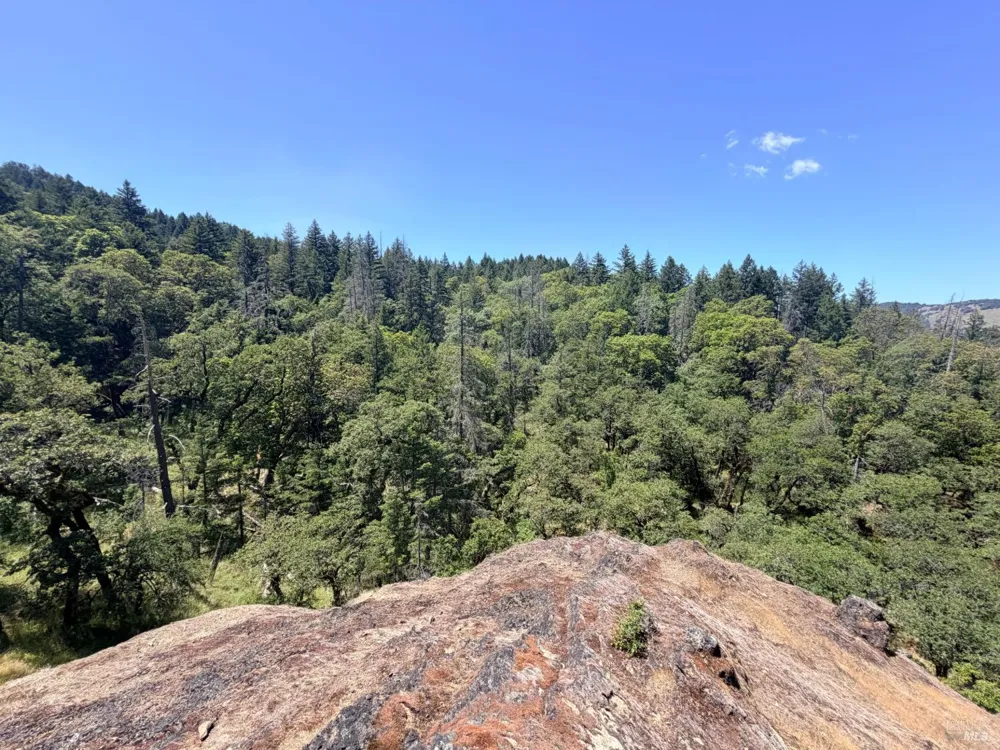 Registered Guest Road Laytonville, CA 95454