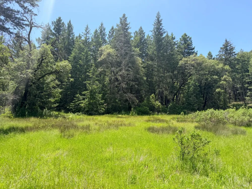 Registered Guest Road Laytonville, CA 95454
