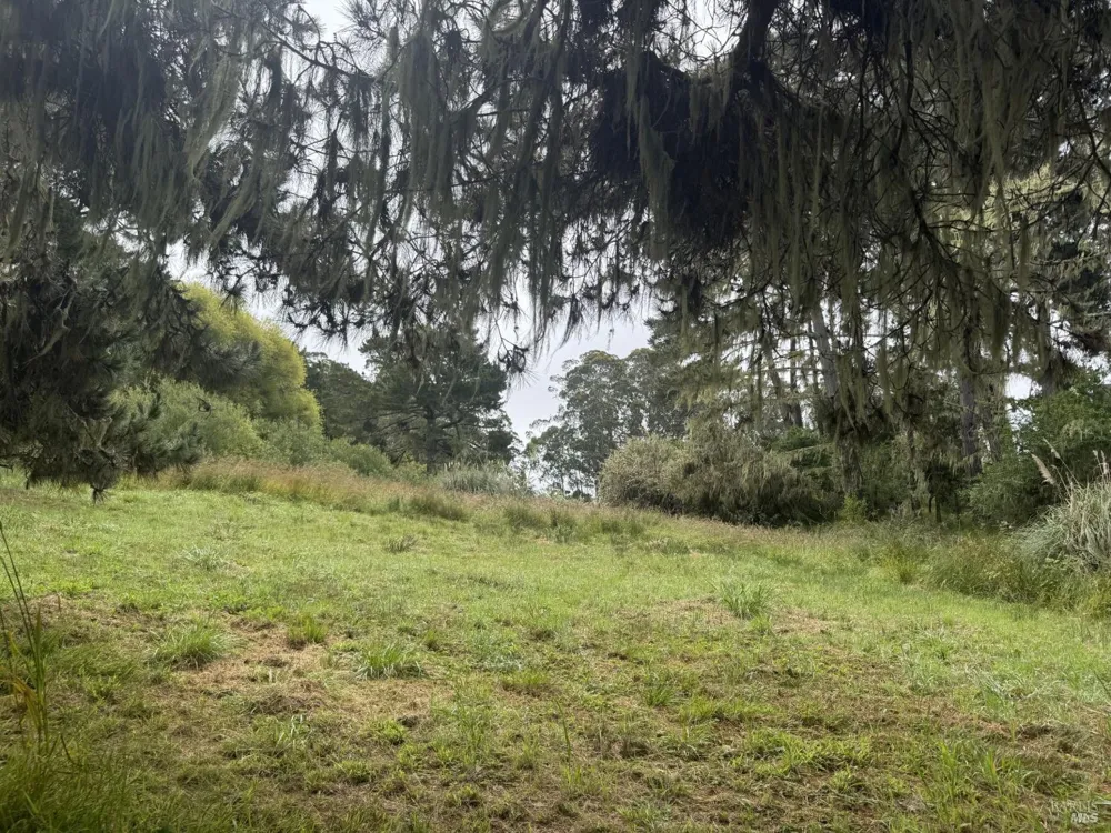 241 Alder Road Bolinas, CA 94924
