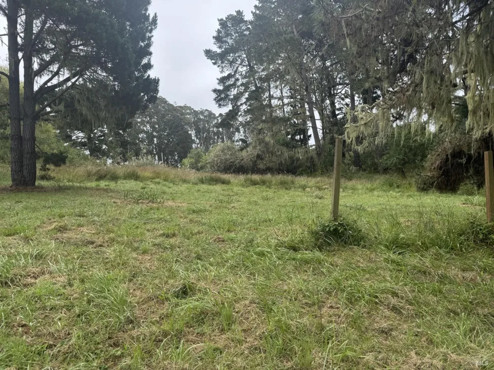 241 Alder Road Bolinas, CA 94924