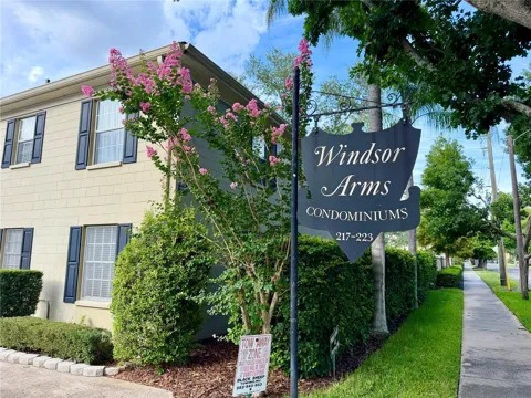 223 WINDSOR STREET #6