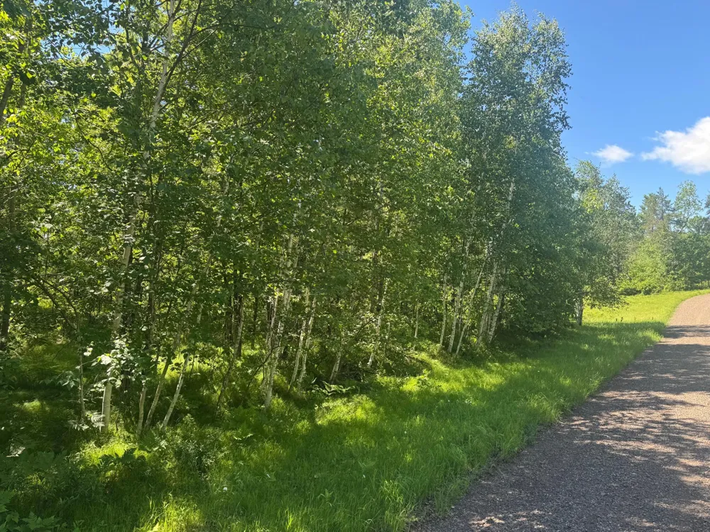 15043 S Thorn Lake Loop Gordon, WI 54838