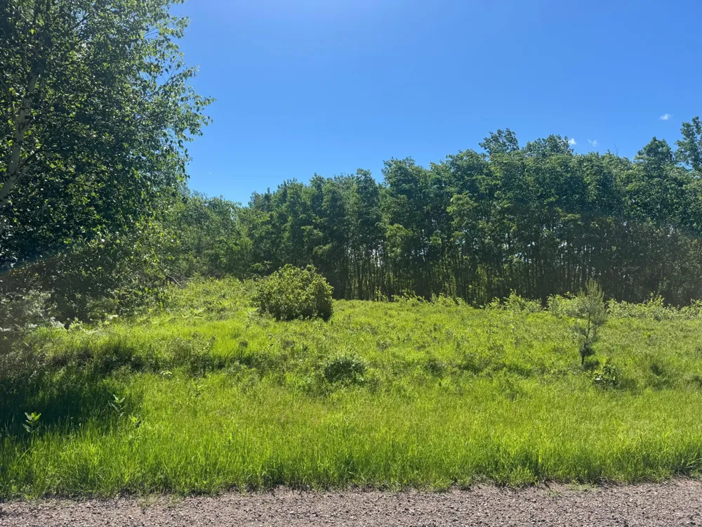 15043 S Thorn Lake Loop Gordon, WI 54838