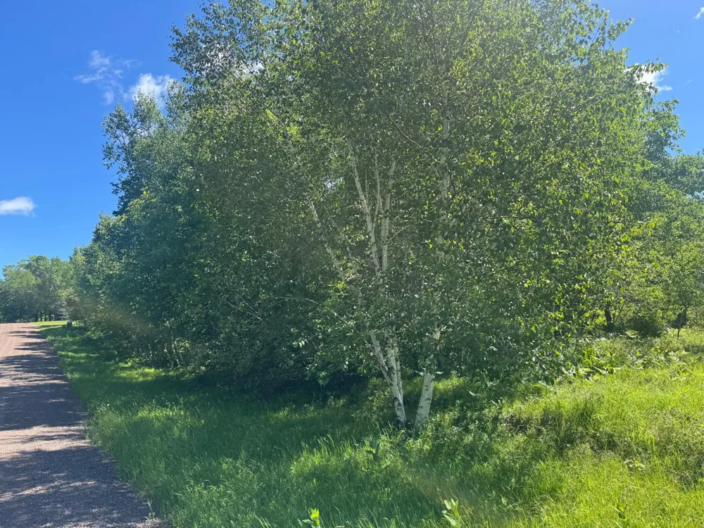 15043 S Thorn Lake Loop Gordon, WI 54838