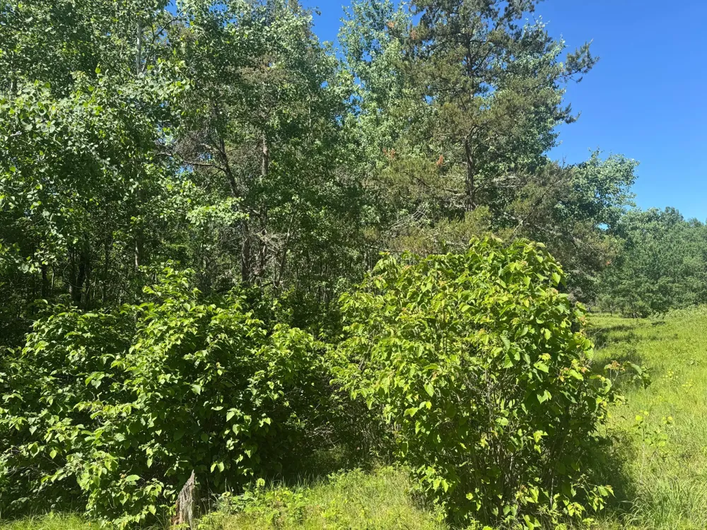 15043 S Thorn Lake Loop Gordon, WI 54838