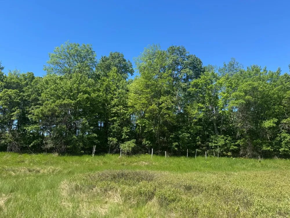 15043 S Thorn Lake Loop Gordon, WI 54838