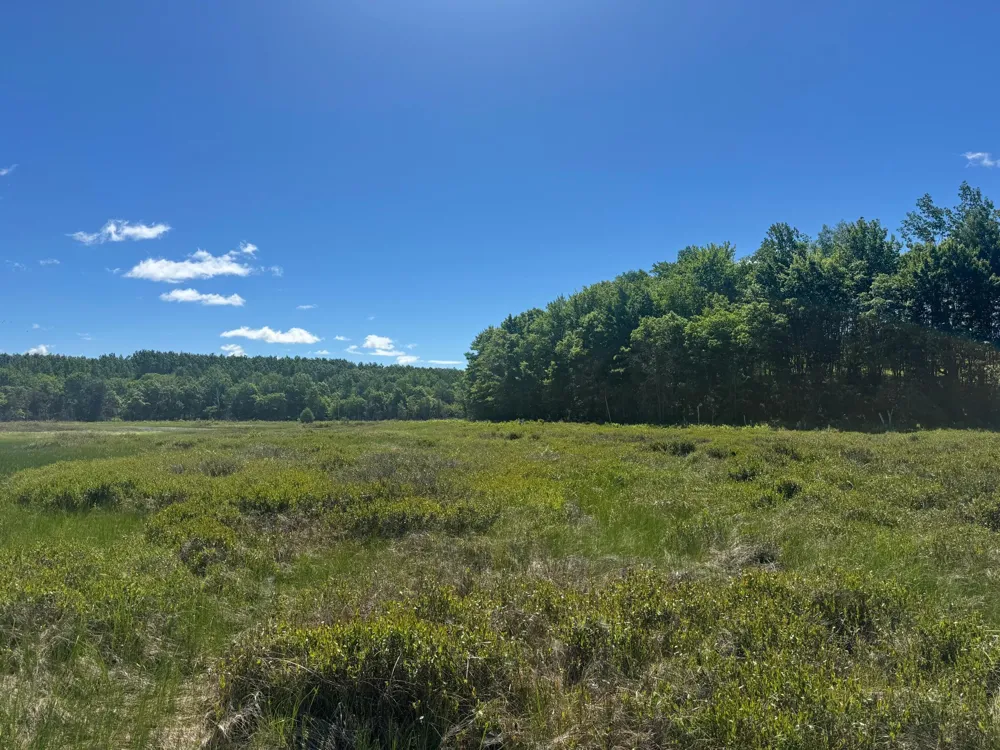 15043 S Thorn Lake Loop Gordon, WI 54838
