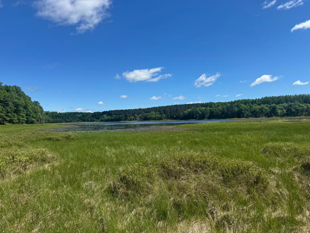 15043 S Thorn Lake Loop Gordon, WI 54838