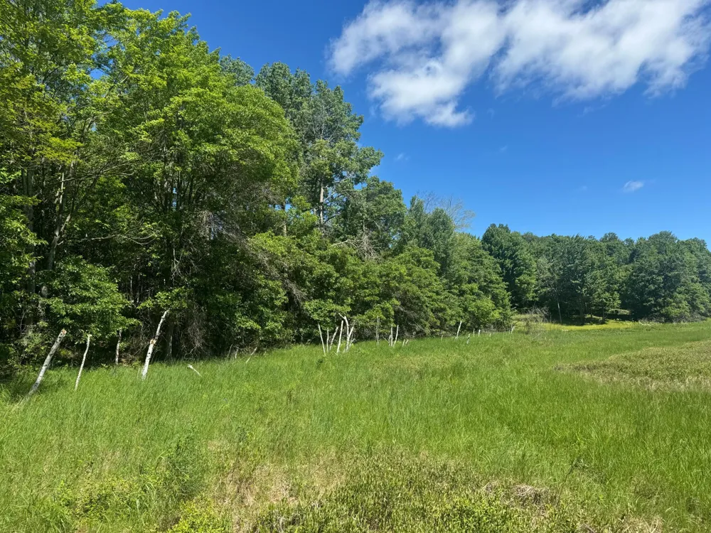15043 S Thorn Lake Loop Gordon, WI 54838