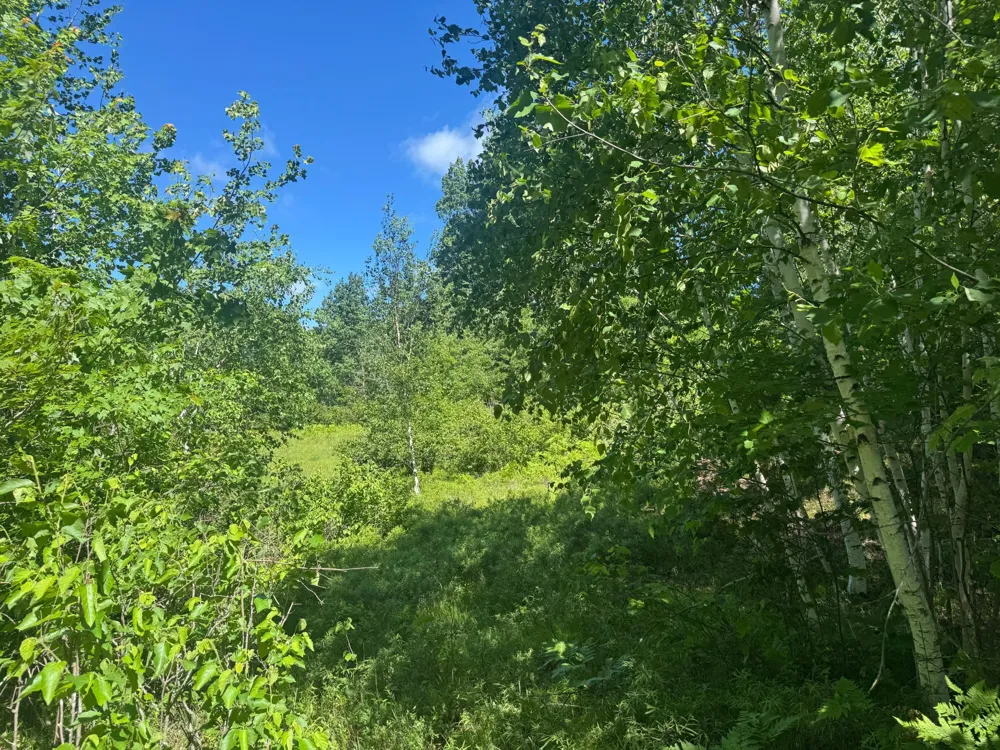 15043 S Thorn Lake Loop Gordon, WI 54838