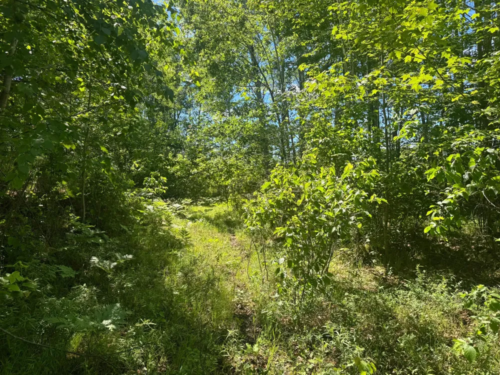 15043 S Thorn Lake Loop Gordon, WI 54838