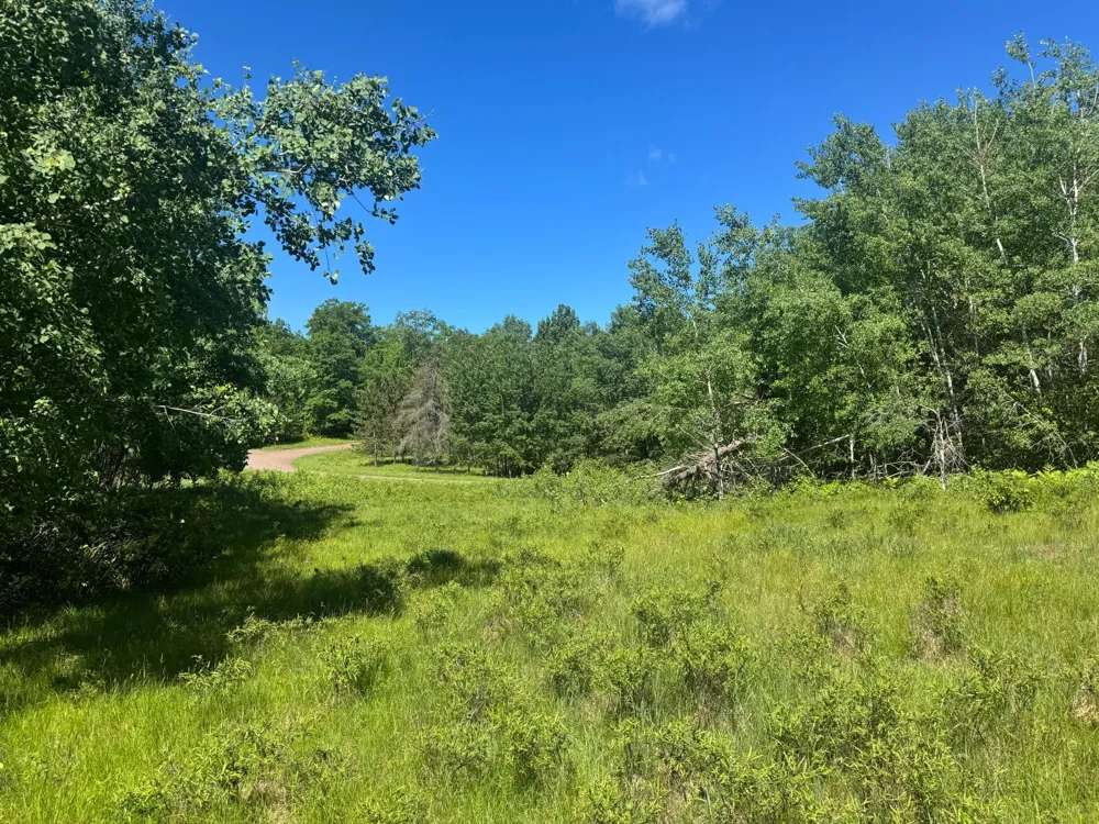 15043 S Thorn Lake Loop Gordon, WI 54838