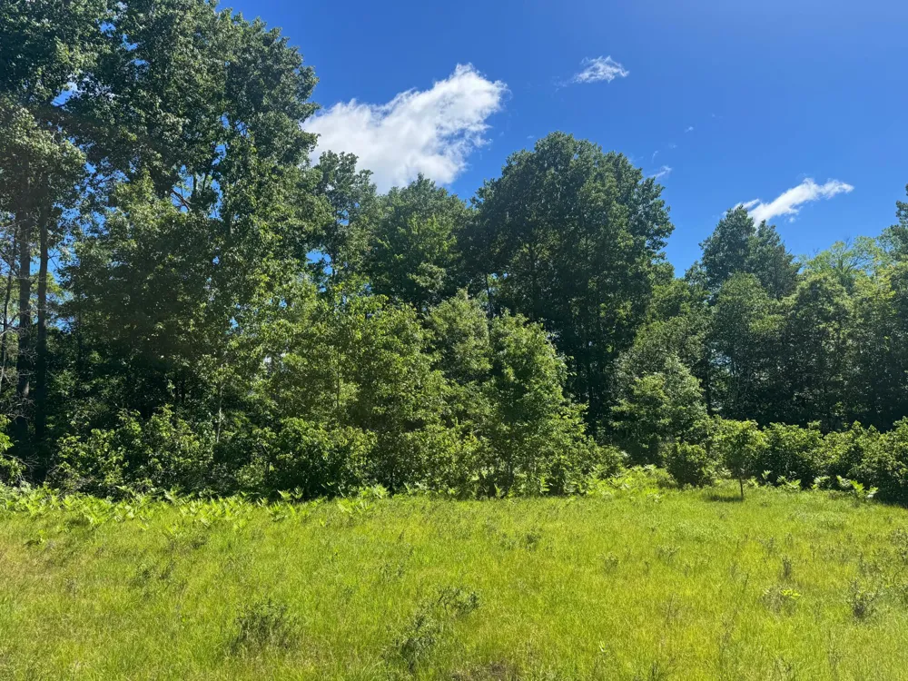 15043 S Thorn Lake Loop Gordon, WI 54838