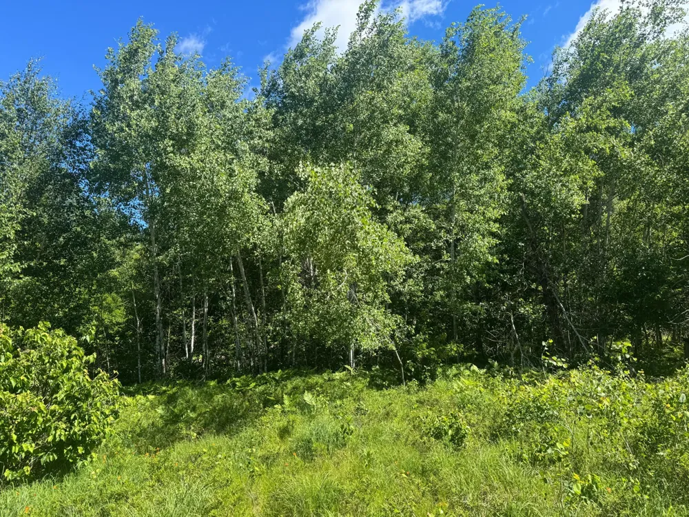 15043 S Thorn Lake Loop Gordon, WI 54838