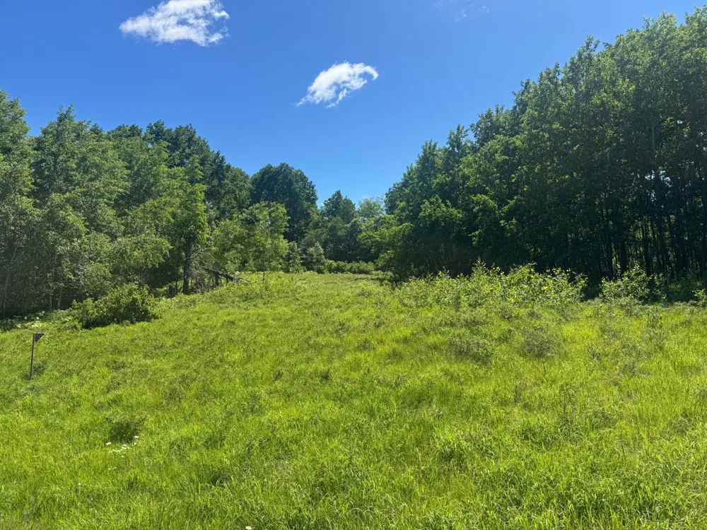 15043 S Thorn Lake Loop Gordon, WI 54838
