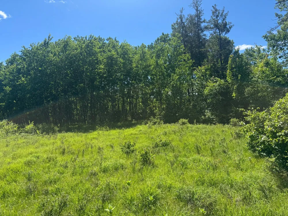 15043 S Thorn Lake Loop Gordon, WI 54838