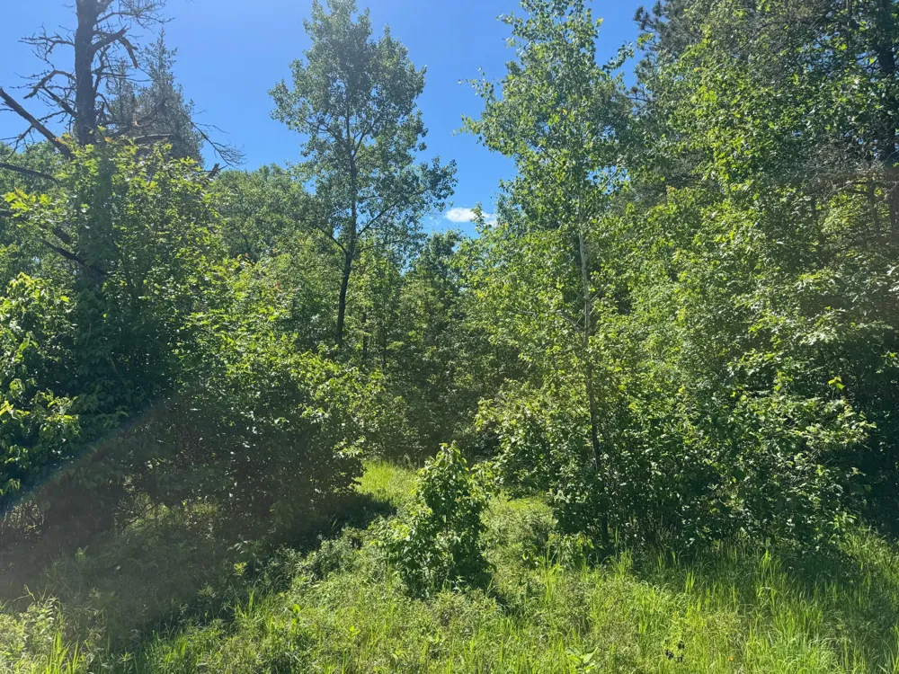 15043 S Thorn Lake Loop Gordon, WI 54838
