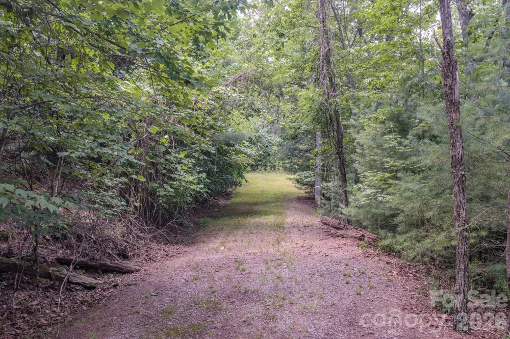 35 Coweeta Ridge Road Otto, NC 28763