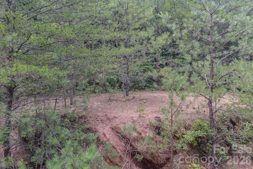35 Coweeta Ridge Road Otto, NC 28763