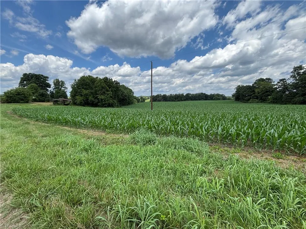 460 Greene Road Dobson, NC 27017