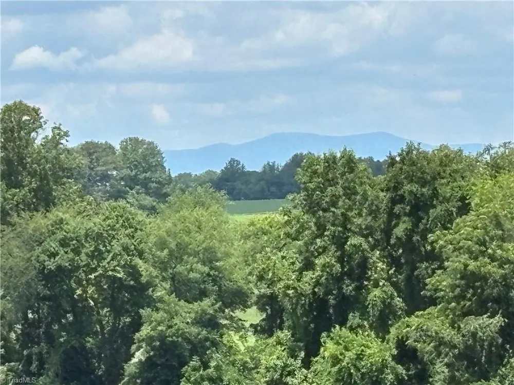 460 Greene Road Dobson, NC 27017