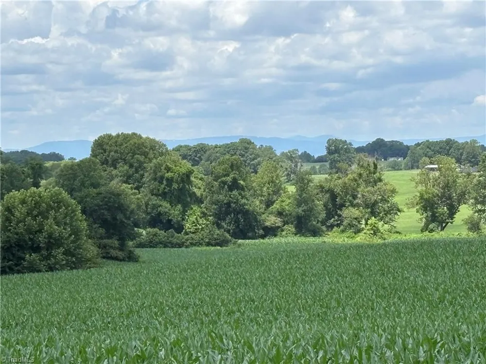460 Greene Road Dobson, NC 27017
