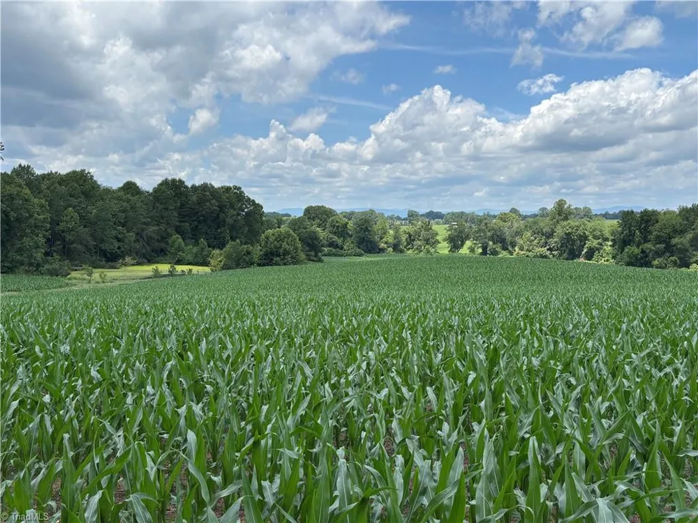 460 Greene Road Dobson, NC 27017