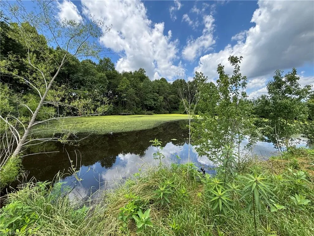 460 Greene Road Dobson, NC 27017