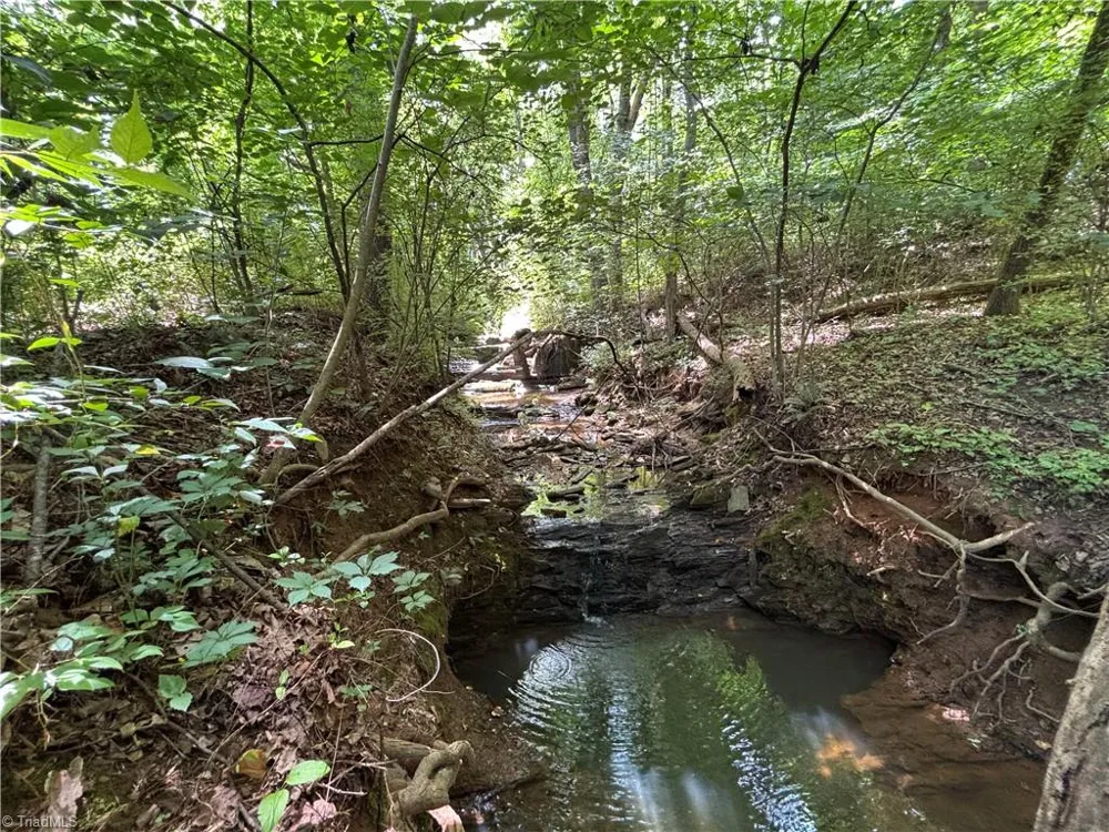 460 Greene Road Dobson, NC 27017