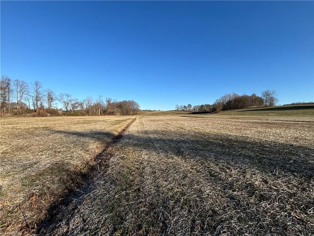 460 Greene Road Dobson, NC 27017