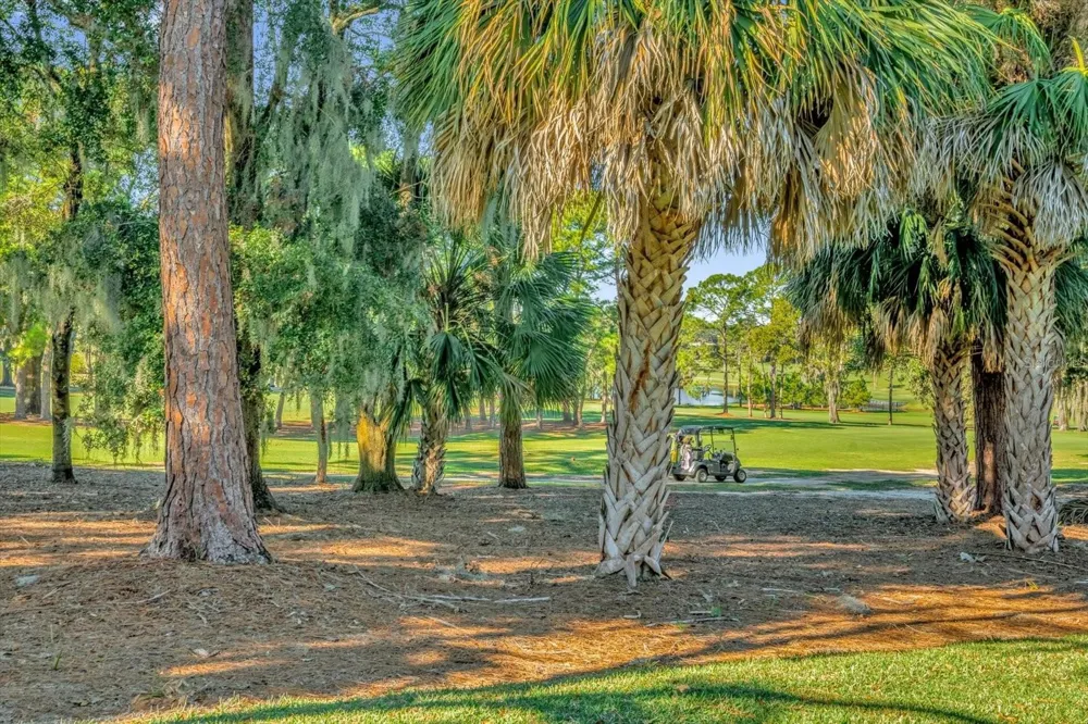 202 CAMINO REAL BOULEVARD #202 Howey In The Hills, FL 34737