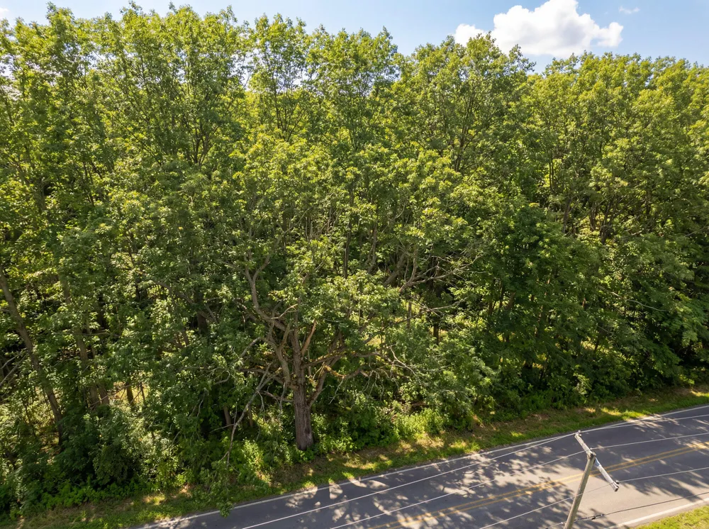3466 Clinton Way Blackman Charter Township, MI 49201