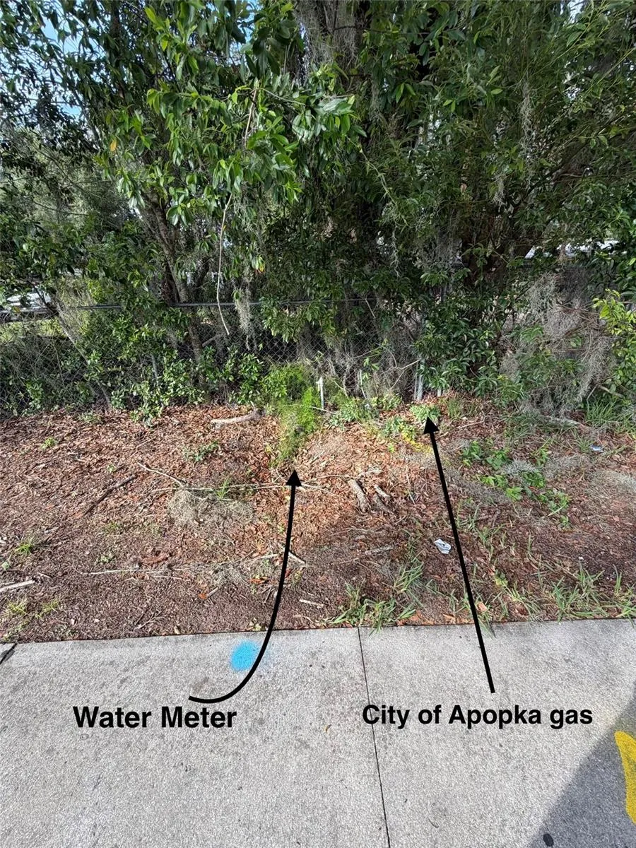 1185 APOPKA BOULEVARD Apopka, FL 32703