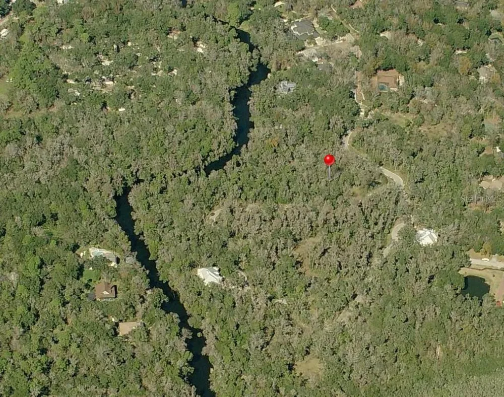 4876 RAMBLING RIVER ROAD Brandon, FL 33511