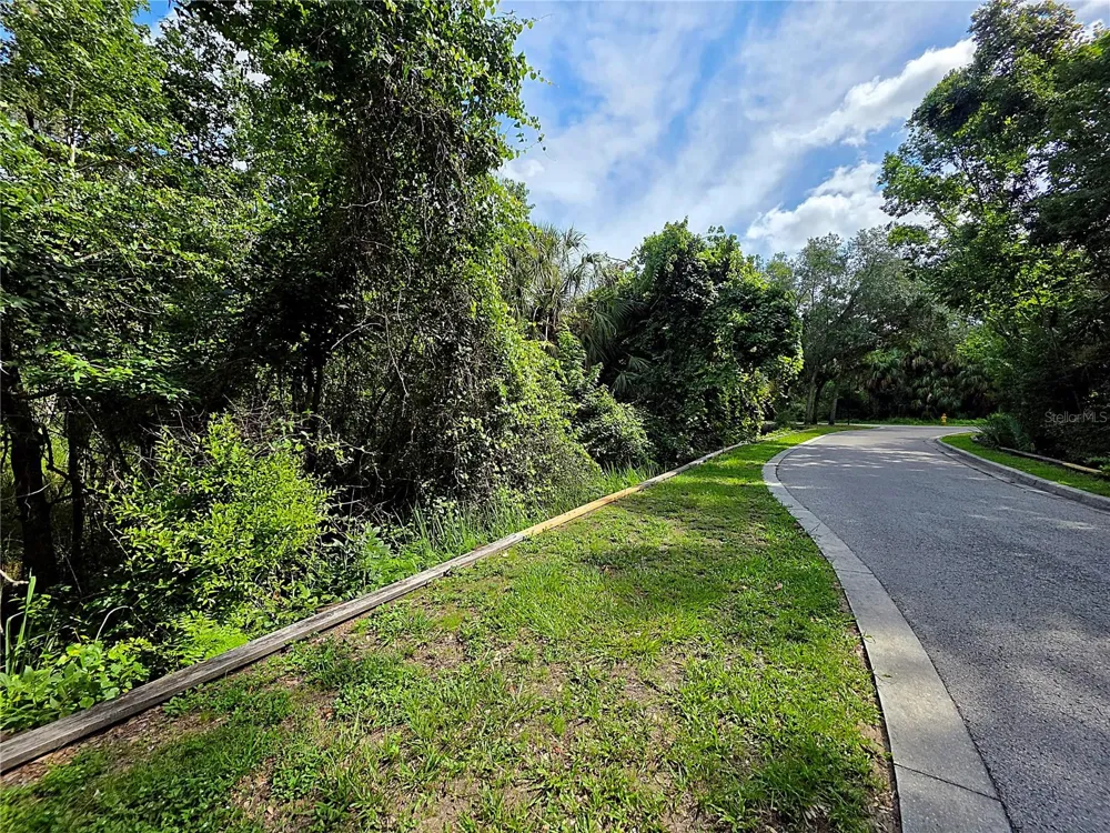 4876 RAMBLING RIVER ROAD Brandon, FL 33511