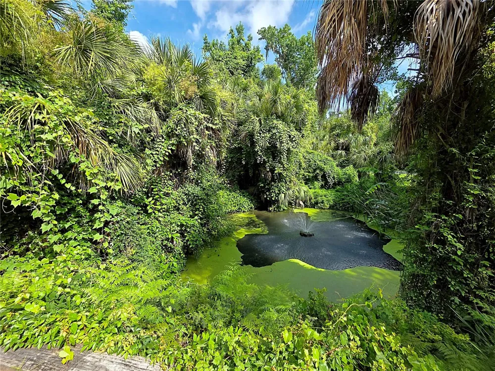 4876 RAMBLING RIVER ROAD Brandon, FL 33511