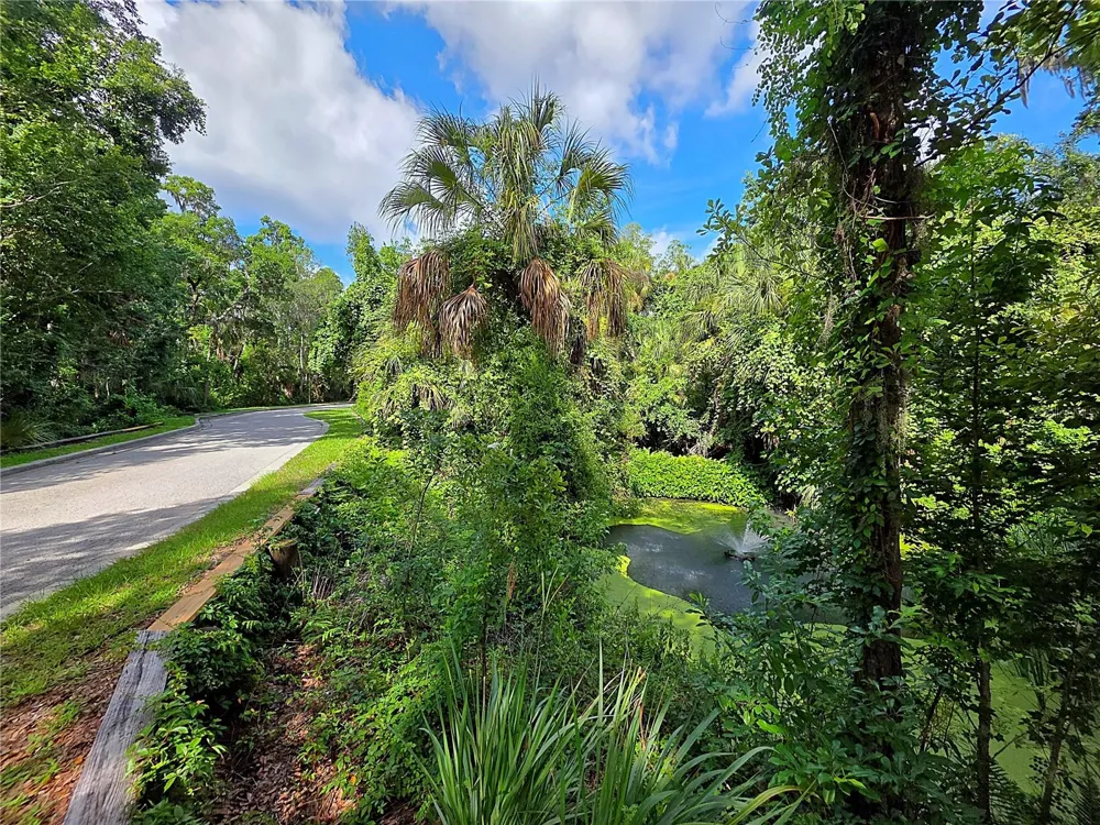 4876 RAMBLING RIVER ROAD Brandon, FL 33511