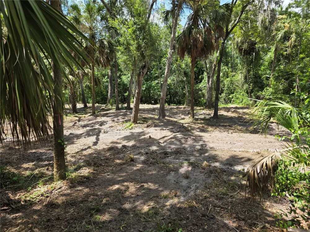 4876 RAMBLING RIVER ROAD Brandon, FL 33511