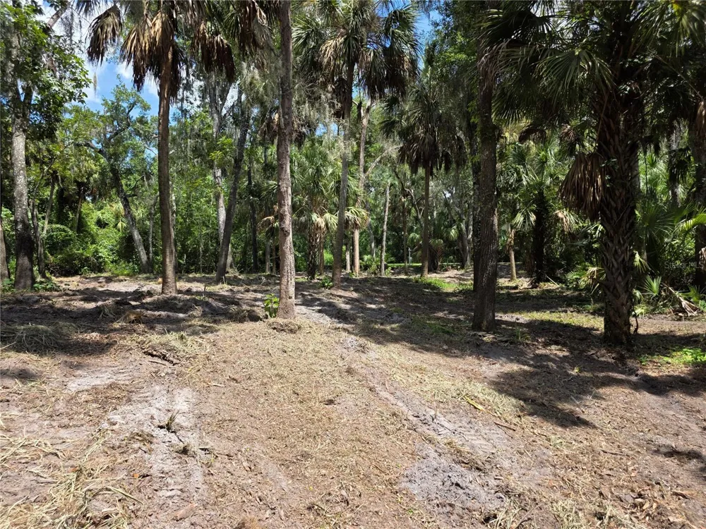 4876 RAMBLING RIVER ROAD Brandon, FL 33511