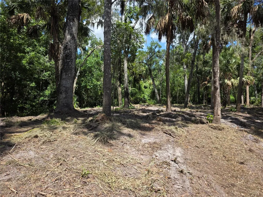 4876 RAMBLING RIVER ROAD Brandon, FL 33511