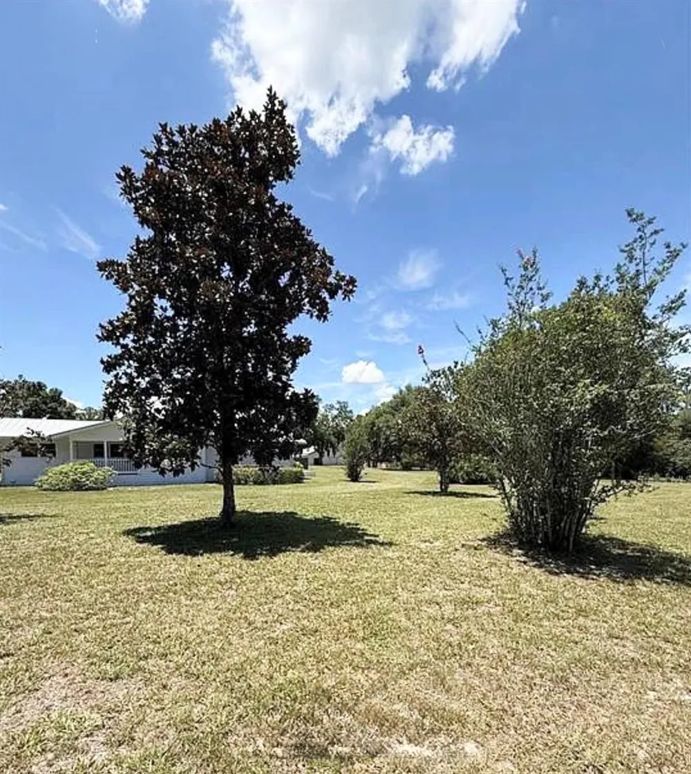 7390 180TH STREET Mc Alpin, FL 32062
