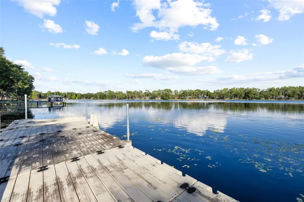 16025 CHASTAIN ROAD Odessa, FL 33556
