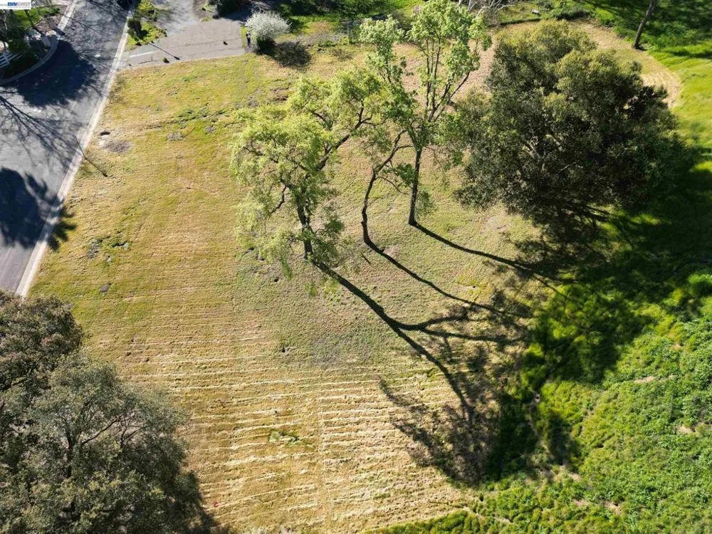 8278 Sassafras Court Pleasanton, CA 94566