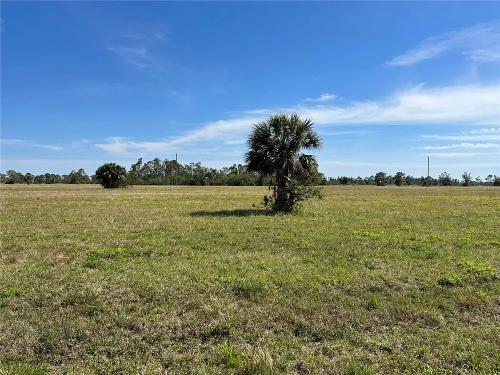 12376 GREENLING WAY Placida, FL 33946