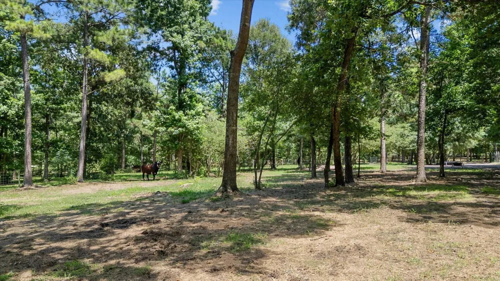 9698 Pioneer Trace Conroe, TX 77303