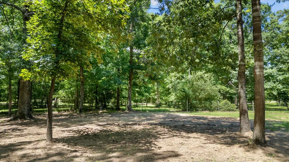 9698 Pioneer Trace Conroe, TX 77303